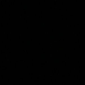 Meet your Posher, Dee